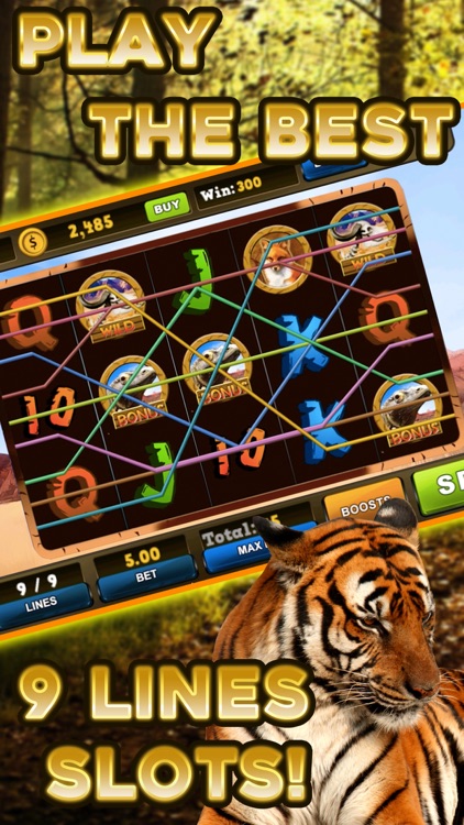 Wild Tiger Slots Machine Games screenshot-3