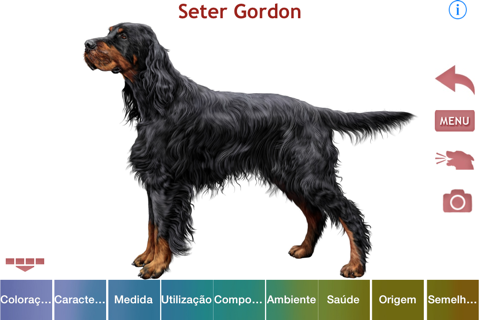 Dogs - Identification Guide screenshot 3