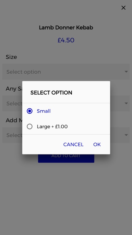 Kingfisher Sheffield