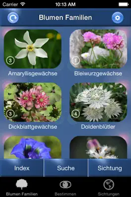Game screenshot Alpenblumen Id Automatik mod apk