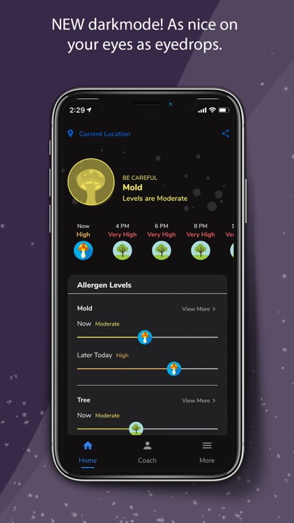 Pollen Wise