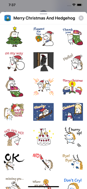 Merry Christmas And Hedgehog(圖2)-速報App