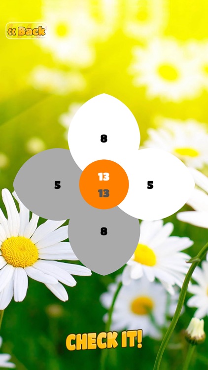 Chamomile arithmetic