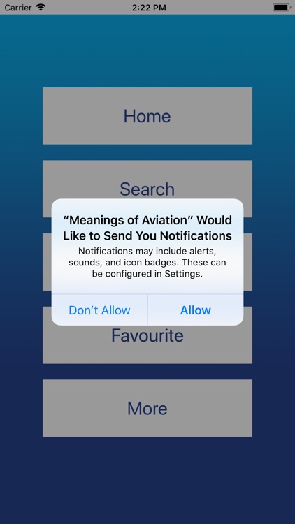 Meanings of Aviation