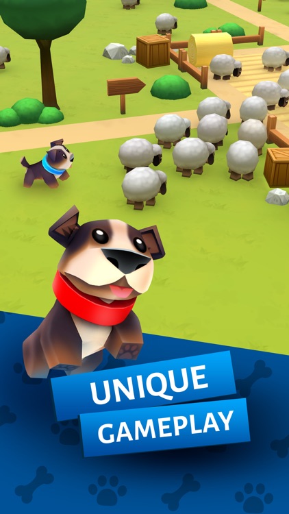 Dog and sheep - farm chasing