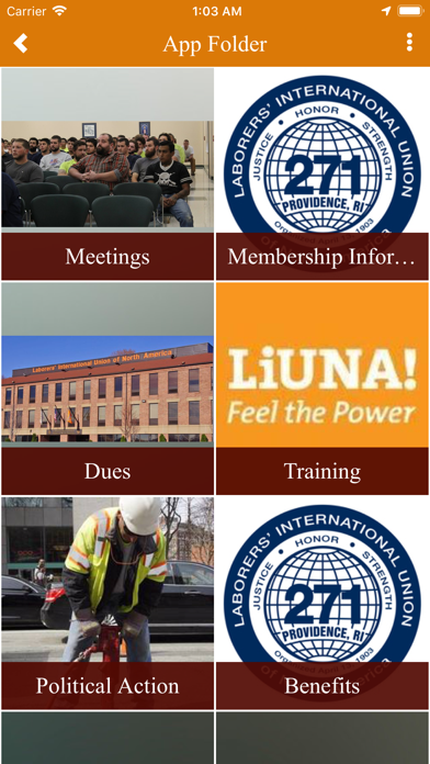 How to cancel & delete LiUNA Local 271 from iphone & ipad 3