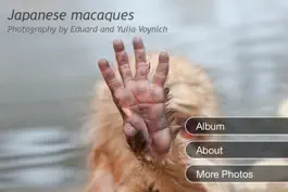 Game screenshot Japanese Macaques mod apk