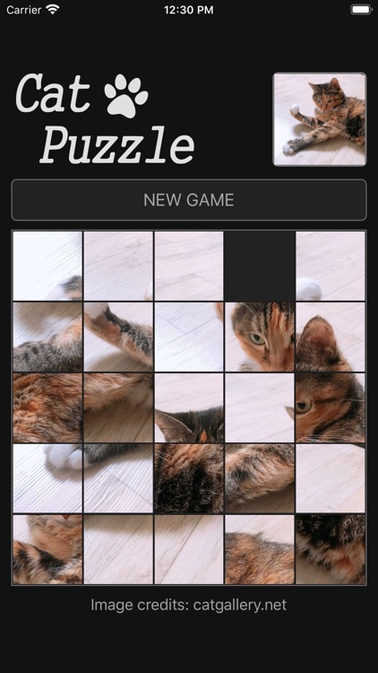 Cat Sliding Puzzle