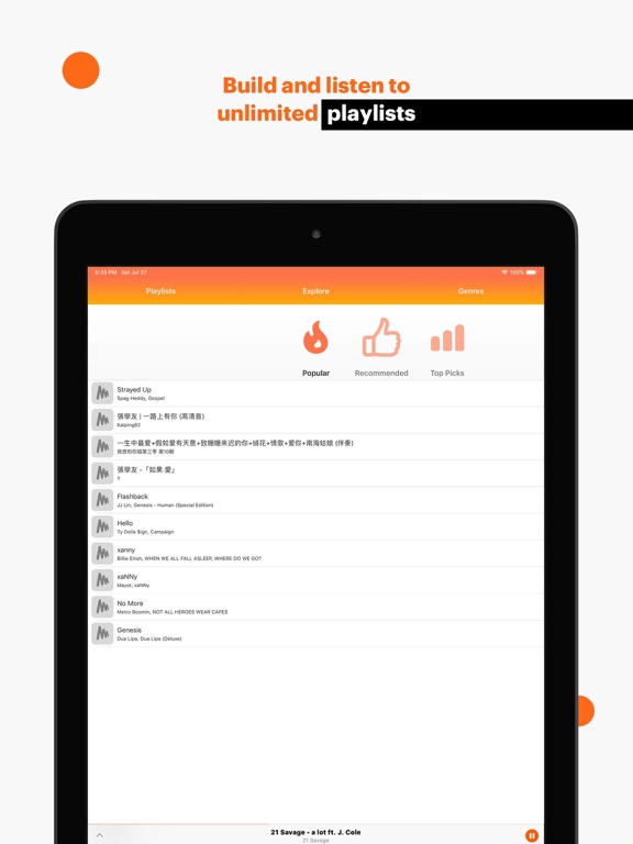 iPad Image of Musi - Simple Music Streaming