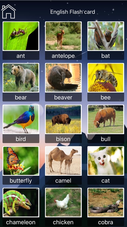 Animals In Different Languages screenshot-3