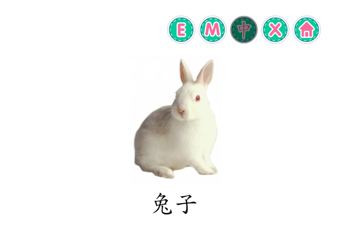 Picture Dictionary - Animals