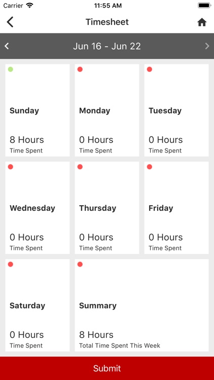 Pilot Timesheet