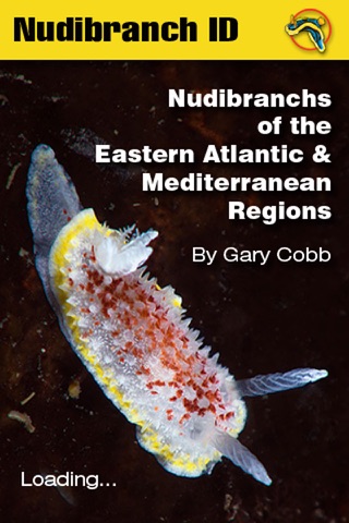 Nudibranch ID E Atlantic Med - náhled
