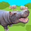 Hippo's eating