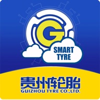 智慧轮胎 Smart Tire pour PC