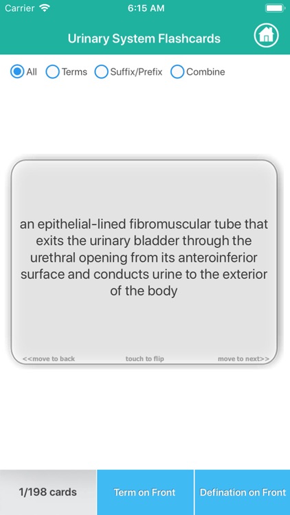 Urinary System Medical Terms screenshot-5