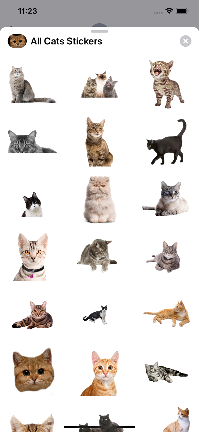 All Cats Stickers