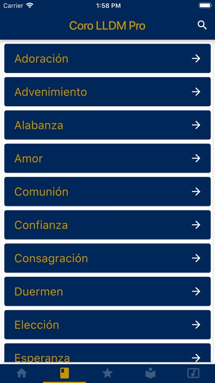 Coro LLDM Pro