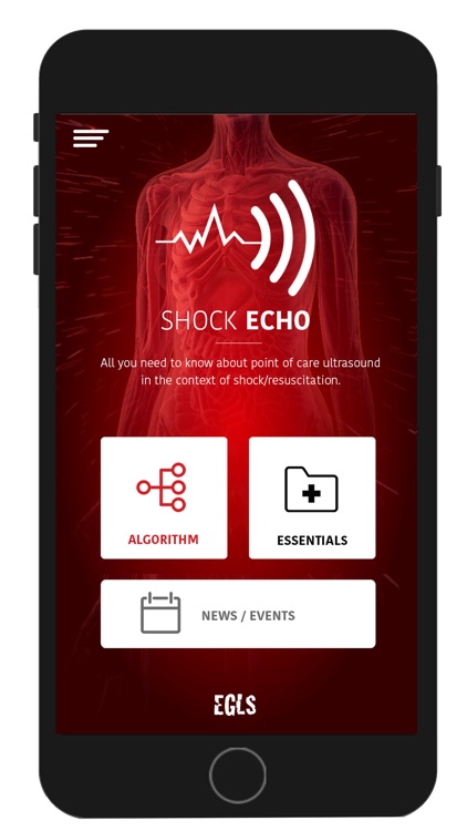 Shock-Echo