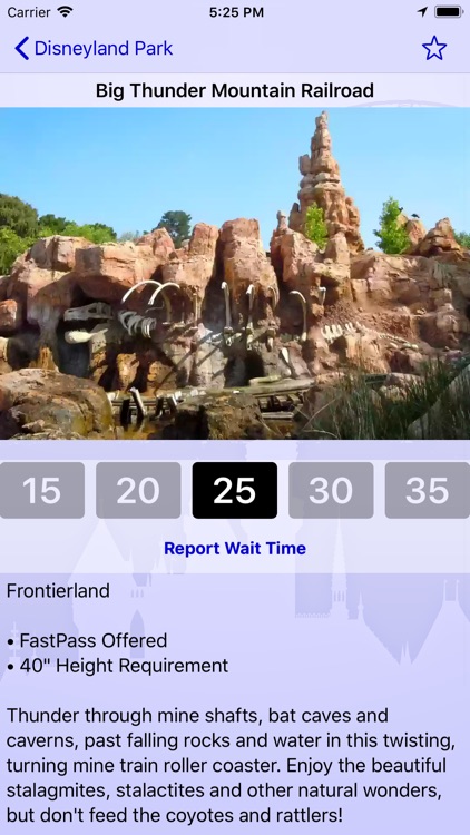 Wait Times for Disneyland