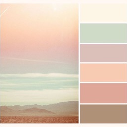 Colors Palette - scan photo