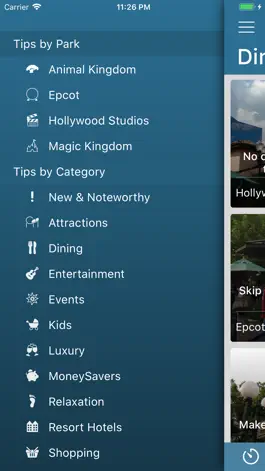 Game screenshot WDW Tips apk