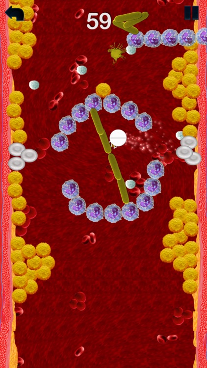 Lower Cholesterol screenshot-4