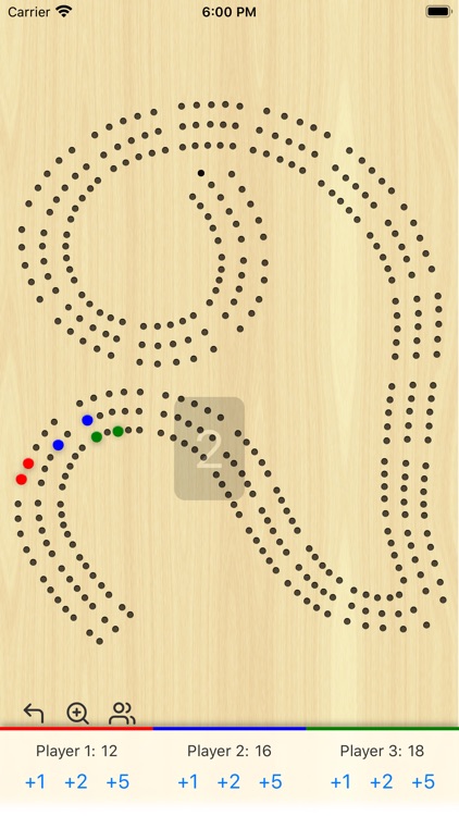 Cribbage Board 29