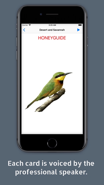 Cards with Birds screenshot-3