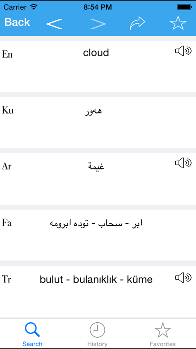 How to cancel & delete Rebin Dict (English-Kurdish-Arabic-Farsi-Turkish) from iphone & ipad 3