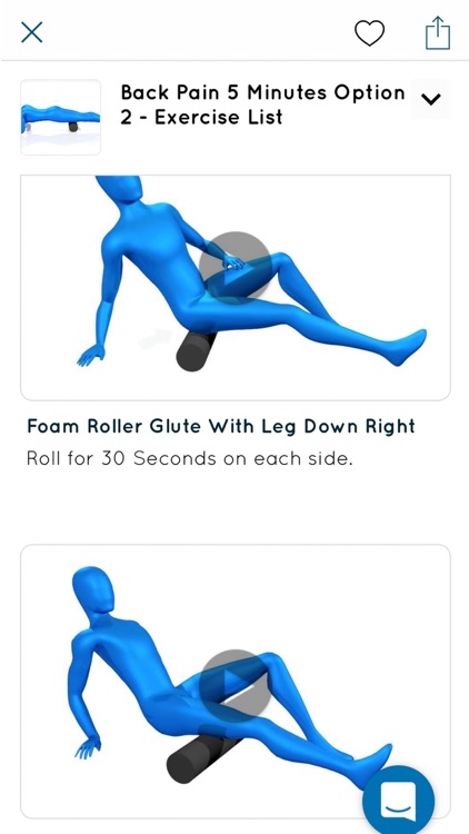 Foam Rolling Exercises screenshot-7