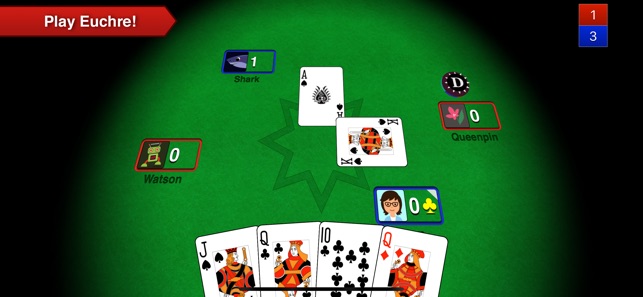 Euchre 3D Pro