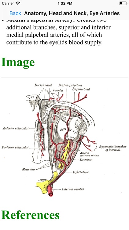 USMLE-COMLEX