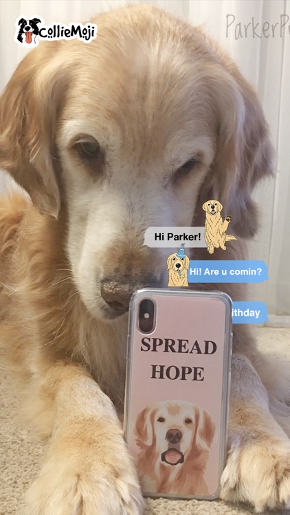 ParkerMoji - Golden Retriever