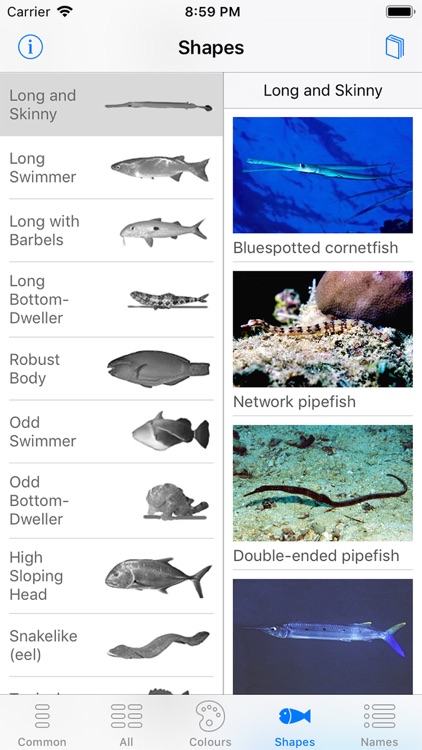 Oman Fish ID screenshot-5