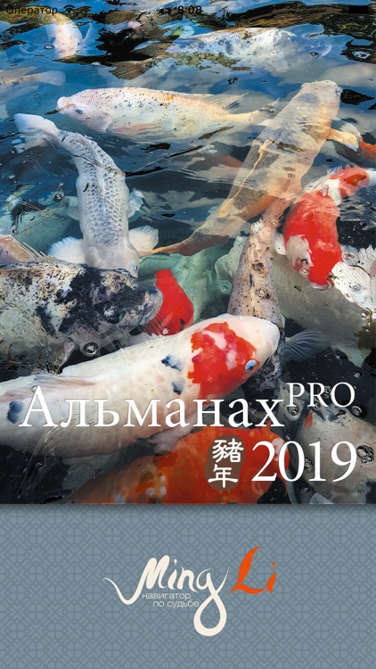 Альманах Pro 2019