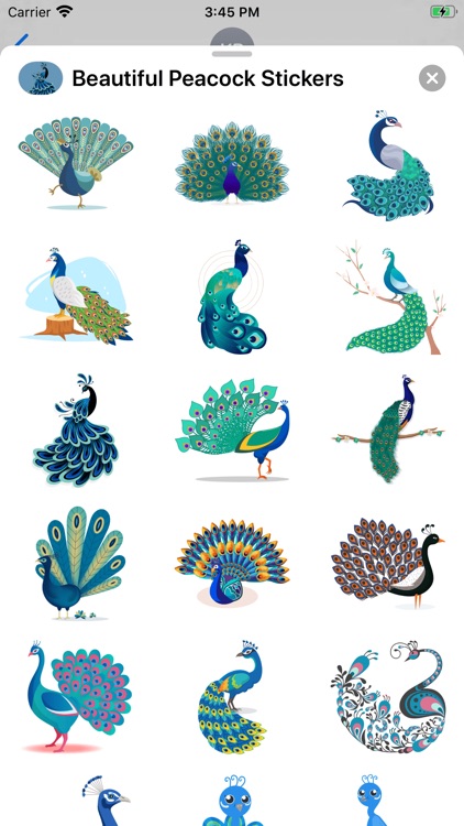 Beautiful Peacock Stickers
