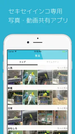 Game screenshot セキセイの木 mod apk