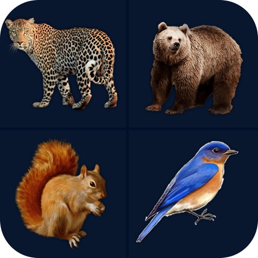 Animal Sound - Zoo Fun Icon