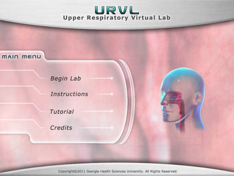 Upper Respiratory Virtual Lab