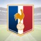 The French Soccer application allows you to follow online all the sporting events of the most important football competitions in France