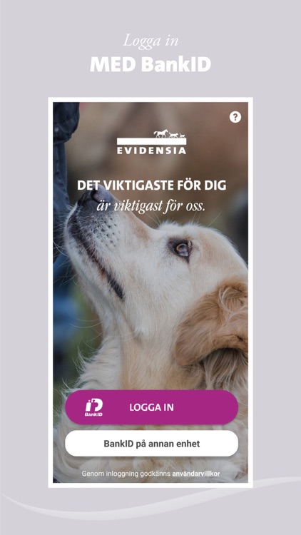 Evidensia - boka veterinär