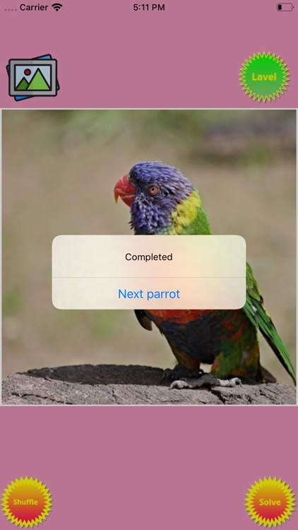 Colorful Parrots Puzzle screenshot-4