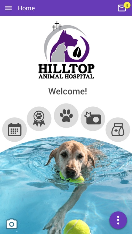 vets for pets hilltop
