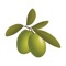 Get your favorite pita or bowl even faster with The Simple Greek app