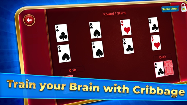 Cribbage Solitaire Challenge