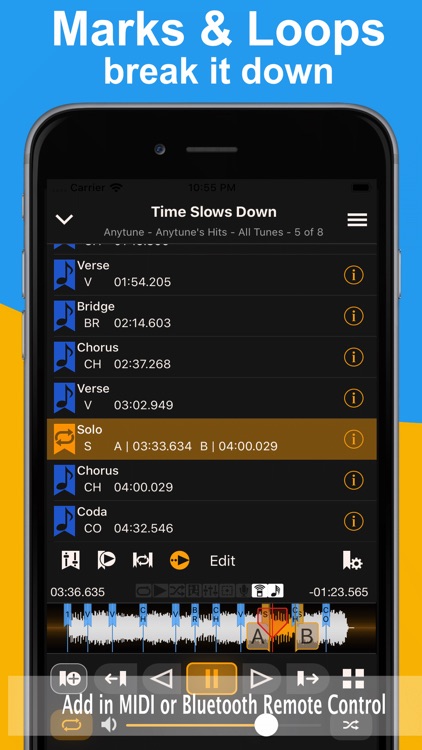 Anytune Pro screenshot-3