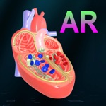 AR Heart - An incredible pump