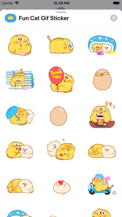 Fun Cat Gif Stickers