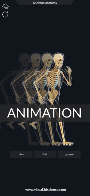 AR Skeleton Anatomy(圖8)-速報App